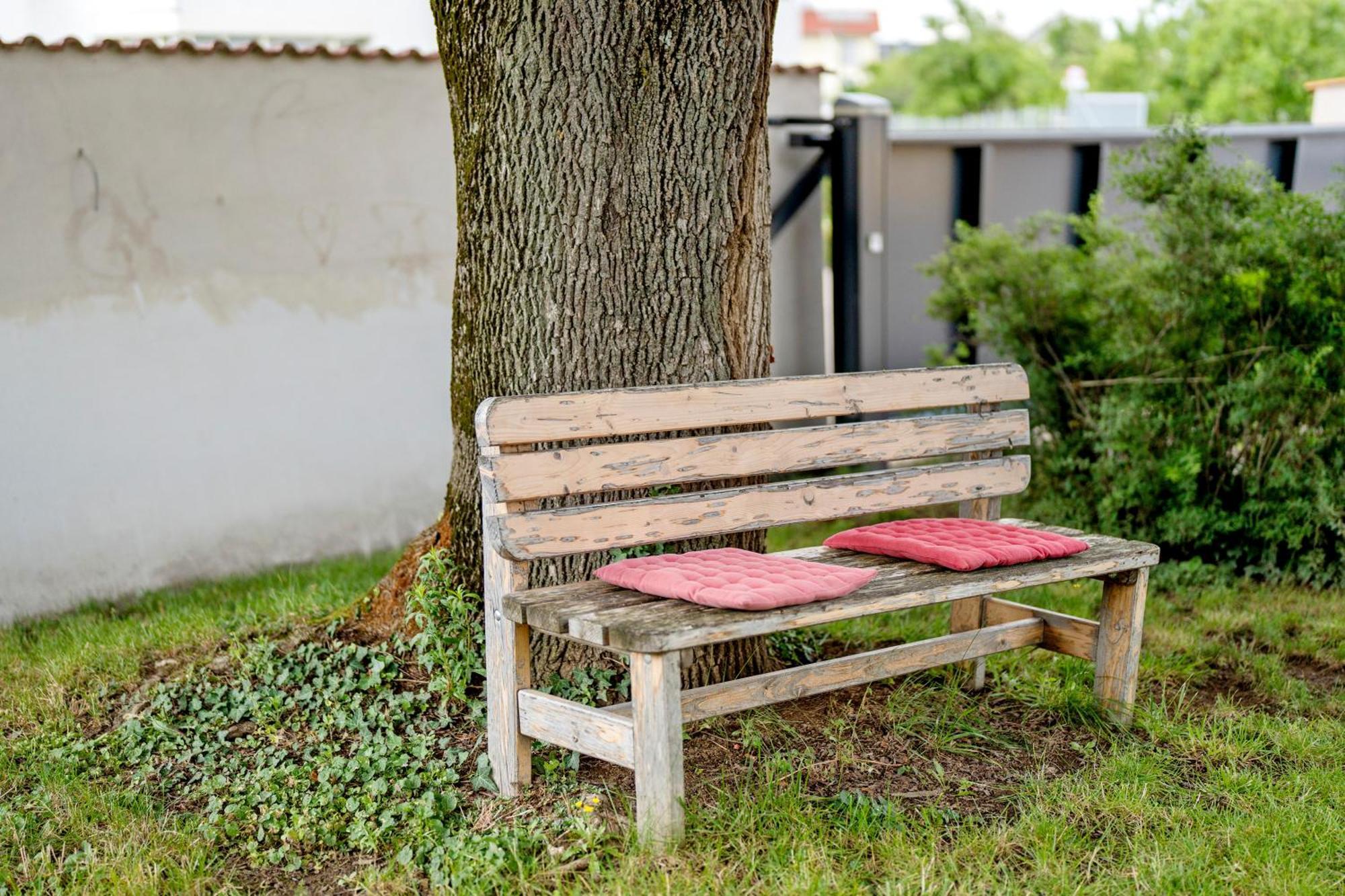 Zur Stadtmama Appartement